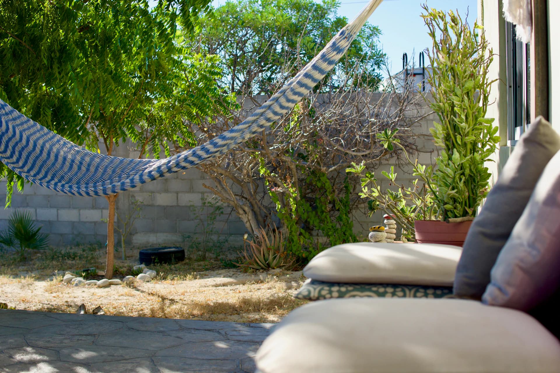 Lush premium artificial turf backyard with crisp landscape borders and modern hardscape