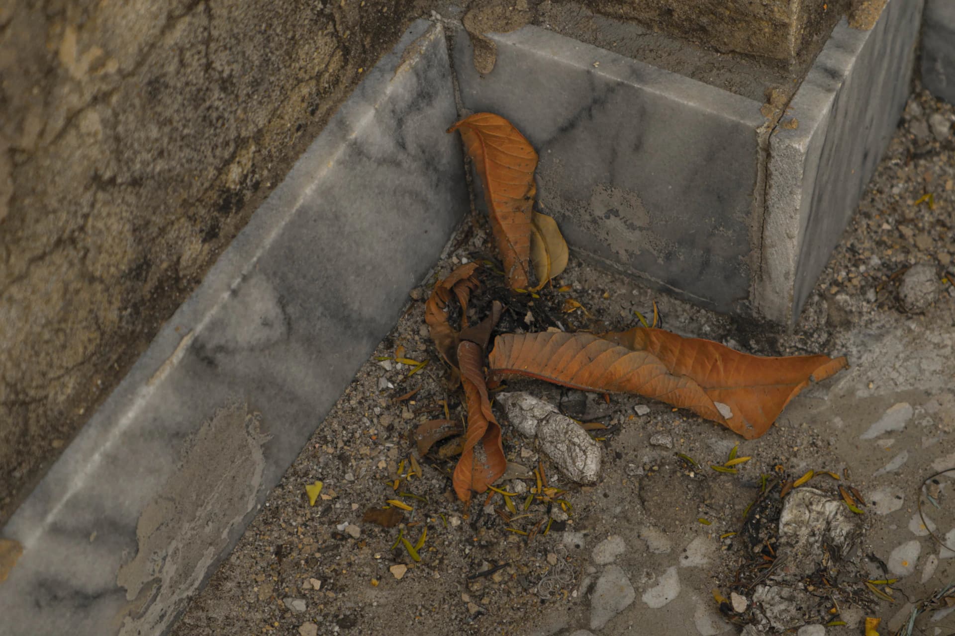 Trenchless pipe replacement equipment positioned on a manicured residential lawn